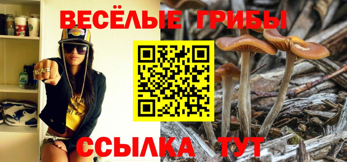 Галлюциногенные грибы Psilocybine cubensis  Вход с VPN  Печора 